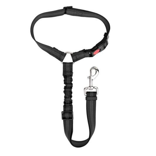Cinturón de Seguridad para Perros (Auto)