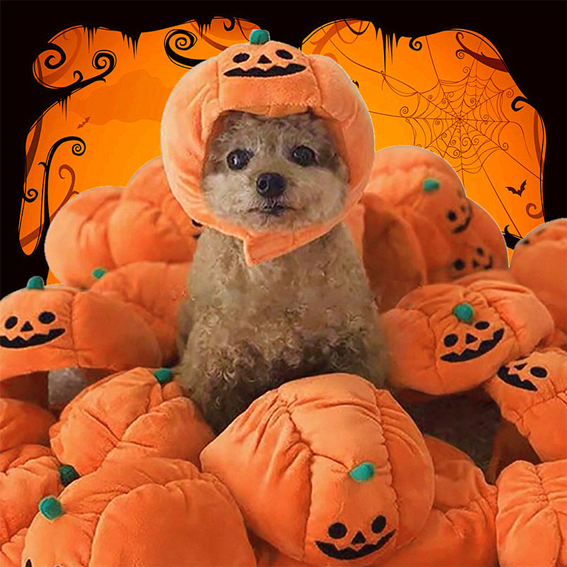 Gorro de Calabaza para Mascotas