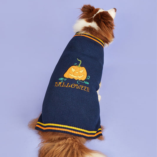 Suéter de Calabaza para Mascotas - foto 2